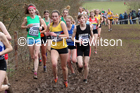 Womens under-17s, 2020 British Athletics Inter Counties Cross Country Champs., Prestwold Hall, Loughborough. Photo: David T. Hewitson/Sports for All Pics
